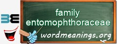 WordMeaning blackboard for family entomophthoraceae